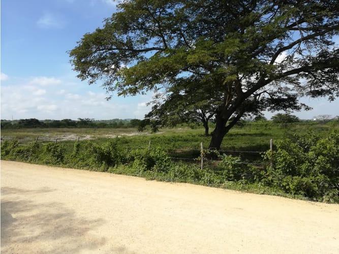 Lote en venta en Mamonal, Cartagena, 90000 m² · foto 5 de 11