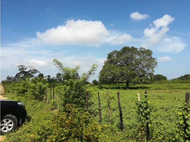 Lote en venta en Mamonal, Cartagena, 90000 m² · foto 6 de 11