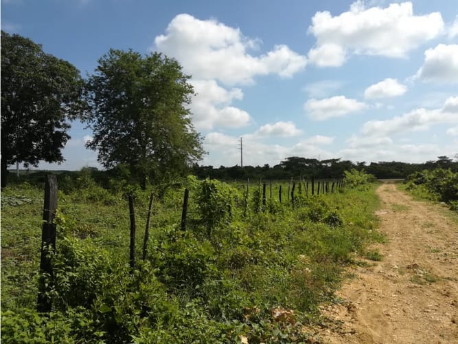 Lote en venta en Mamonal, Cartagena, 90000 m² · foto 7 de 11