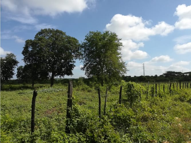 Lote en venta en Mamonal, Cartagena, 90000 m² · foto 8 de 11