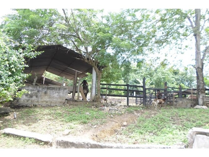 Lote en venta en Cartagena, 25000 m² · foto 4 de 15