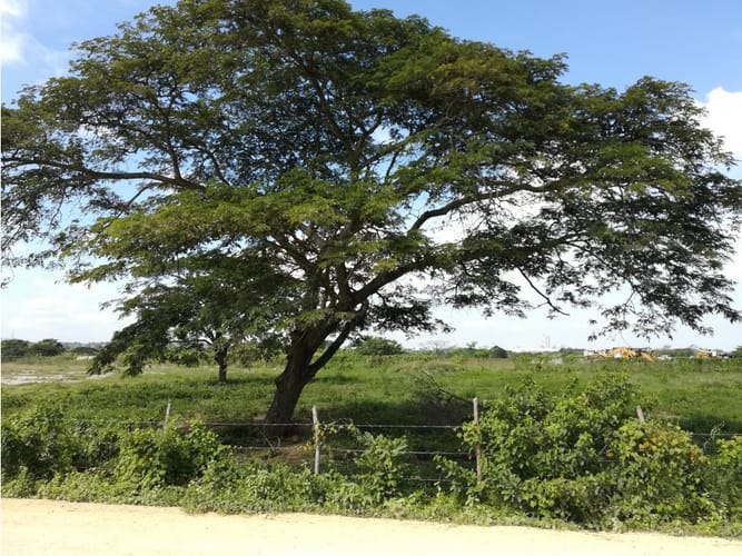 Lote en venta en Mamonal, Cartagena, 90000 m² · foto 9 de 11