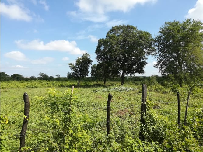 Lote en venta en Mamonal, Cartagena, 90000 m² · foto 10 de 11