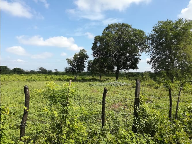 Lote en venta en Mamonal, Cartagena, 90000 m² · foto 11 de 11