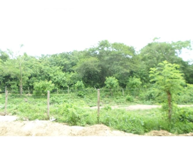 Lote en venta en Cartagena, 25000 m² · foto 10 de 15