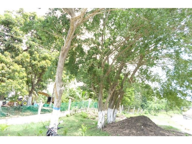 Lote en venta en Cartagena, 25000 m² · foto 11 de 15