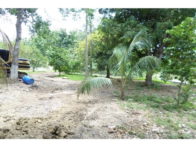 Lote en venta en Cartagena, 25000 m² · foto 13 de 15