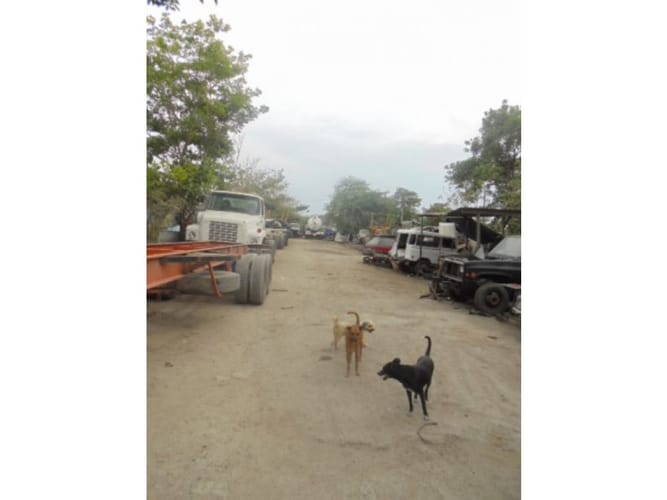 Lote en venta en El Bosque, Cartagena, 2000 m² · foto 4 de 11