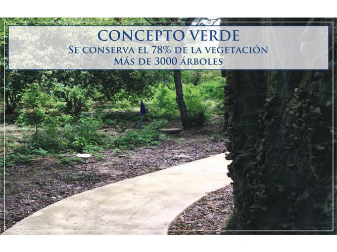Lote en venta en Barú, Cartagena · foto 20 de 22