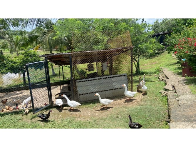 Finca en venta en Cartagena De Indias, Cartagena, 57500 m² · foto 6 de 24