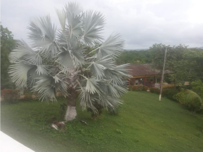 Finca en venta en Cartagena De Indias, Cartagena, 57500 m² · foto 11 de 24