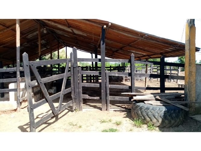 Finca en venta en Cartagena De Indias, Cartagena, 57500 m² · foto 24 de 24