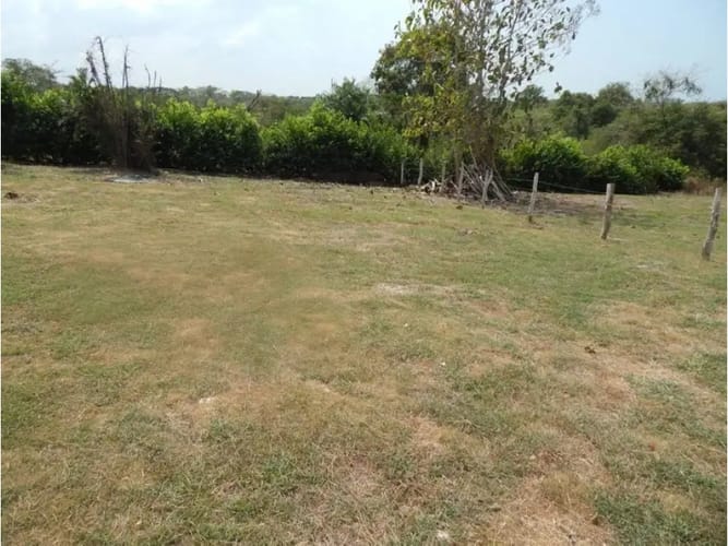 Lote en venta en La Boquilla, Cartagena, 10000 m² · foto 3 de 6