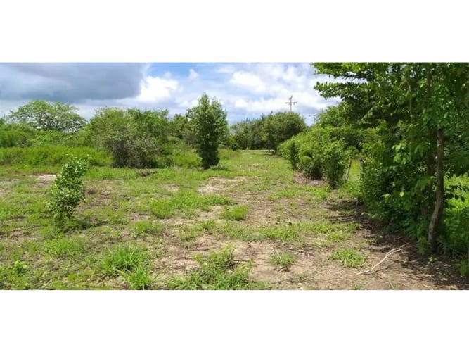 Lote en venta en La Boquilla, Cartagena, 10000 m² · foto 6 de 6