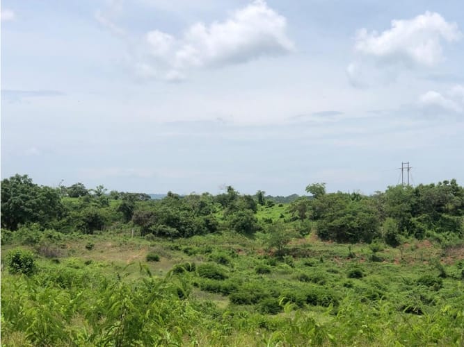 Lote en venta en Mamonal, Cartagena · foto 2 de 16