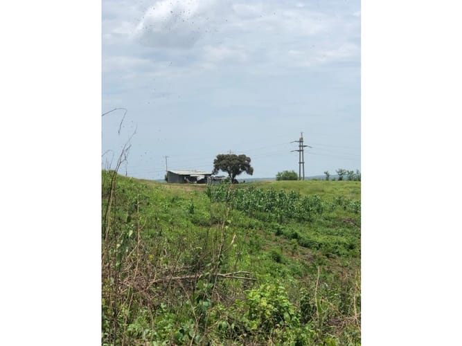 Lote en venta en Mamonal, Cartagena · foto 11 de 16