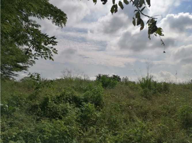 Lote en venta en Cartagena De Indias, Cartagena, 17500 m² · foto 2 de 11