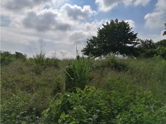 Lote en venta en Cartagena De Indias, Cartagena, 17500 m² · foto 3 de 11
