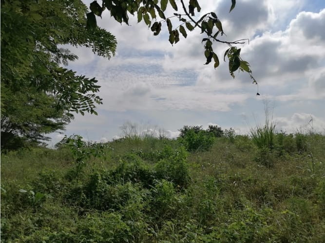 Lote en venta en Cartagena De Indias, Cartagena, 17500 m² · foto 4 de 11