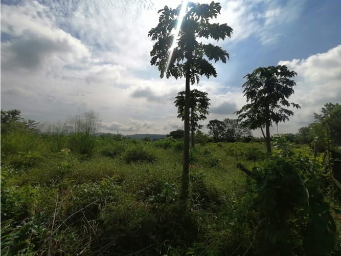 Lote en venta en Cartagena De Indias, Cartagena, 17500 m² · foto 5 de 11