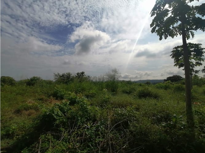 Lote en venta en Cartagena De Indias, Cartagena, 17500 m² · foto 6 de 11