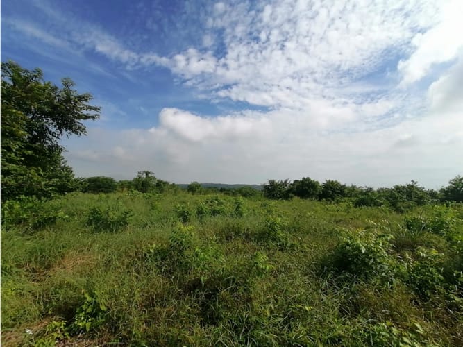 Lote en venta en Cartagena De Indias, Cartagena, 17500 m² · foto 7 de 11