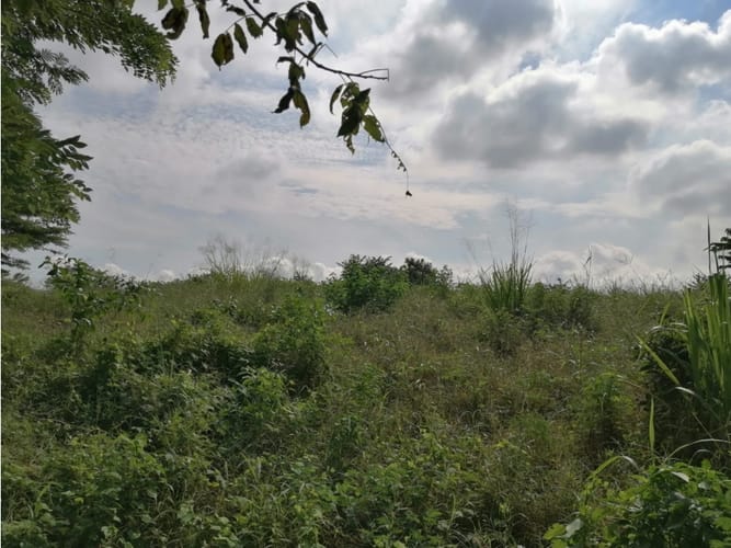 Lote en venta en Cartagena De Indias, Cartagena, 17500 m² · foto 8 de 11