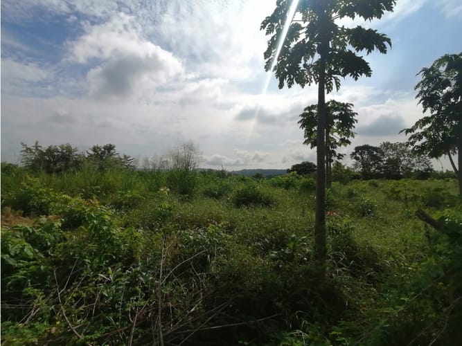 Lote en venta en Cartagena De Indias, Cartagena, 17500 m² · foto 9 de 11