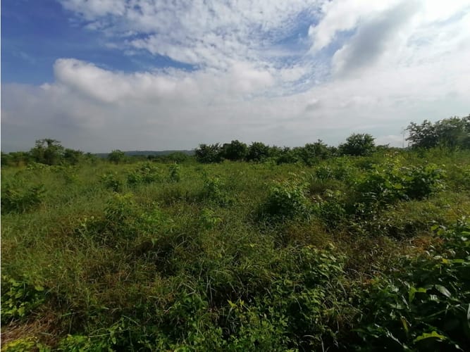 Lote en venta en Cartagena De Indias, Cartagena, 17500 m² · foto 10 de 11