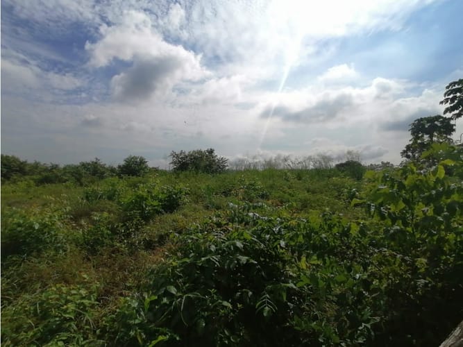 Lote en venta en Cartagena De Indias, Cartagena, 17500 m² · foto 11 de 11