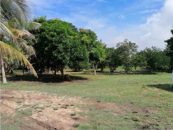 Lote en venta en Cartagena De Indias, Cartagena, 15000 m² · foto 3 de 9