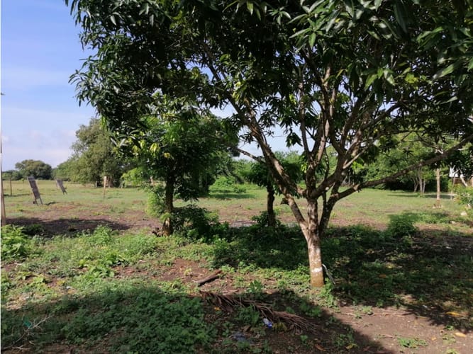 Lote en venta en Cartagena De Indias, Cartagena, 15000 m² · foto 4 de 9