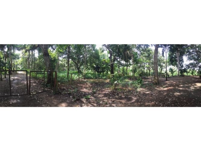 Lote en venta en Bayunca, Cartagena, 14900 m² · foto 3 de 4