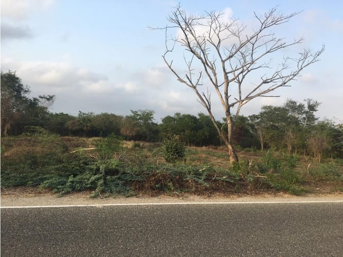 Lote en venta en Cartagena De Indias, Cartagena, 2200 m² · foto 2 de 3