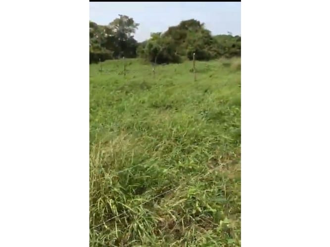 Lote en venta en Bayunca, Cartagena, 900 m² · foto 2 de 6