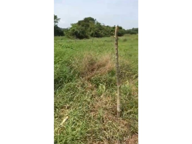 Lote en venta en Bayunca, Cartagena, 900 m² · foto 4 de 6