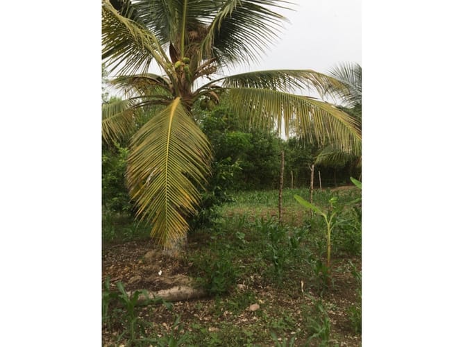 Lote en venta en La Boquilla, Cartagena, 17059 m² · foto 6 de 7