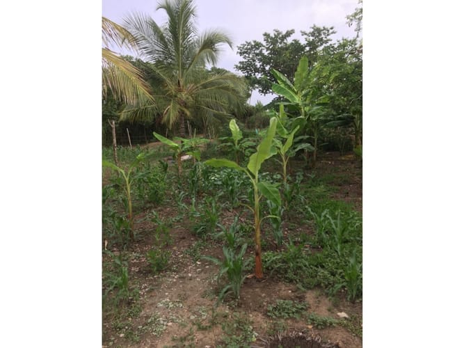 Lote en venta en La Boquilla, Cartagena, 17059 m² · foto 7 de 7