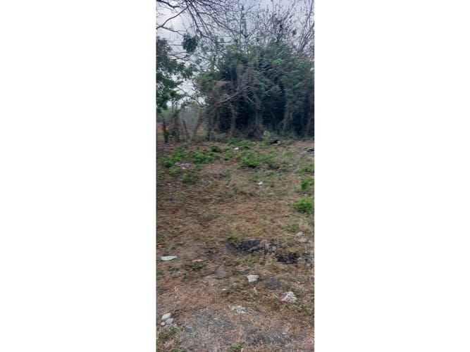 Lote en venta en Bayunca, Cartagena, 10000 m² · foto 2 de 14