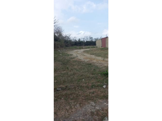 Lote en venta en Bayunca, Cartagena, 10000 m² · foto 6 de 14