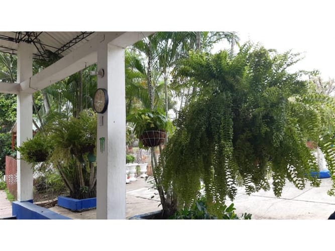 Finca en venta en Cartagena De Indias, Cartagena, 600 m² · foto 11 de 16