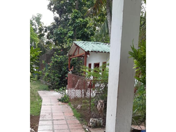 Finca en venta en Cartagena De Indias, Cartagena, 600 m² · foto 13 de 16