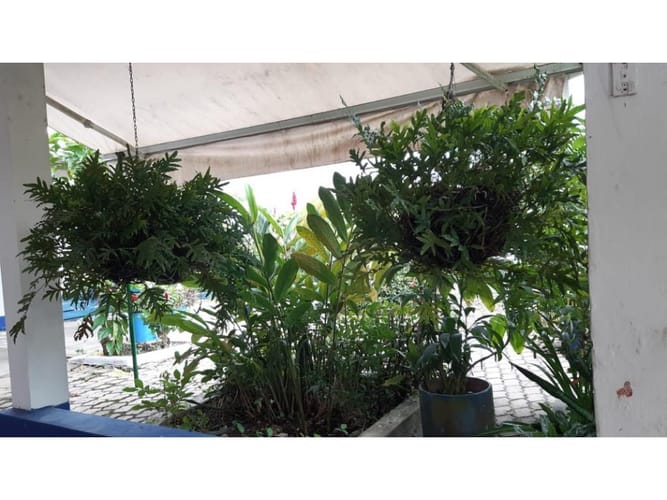 Finca en venta en Cartagena De Indias, Cartagena, 600 m² · foto 14 de 16