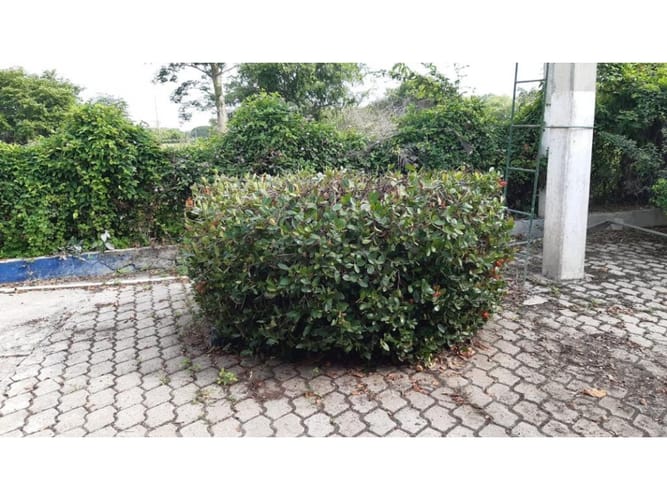 Finca en venta en Cartagena De Indias, Cartagena, 600 m² · foto 15 de 16
