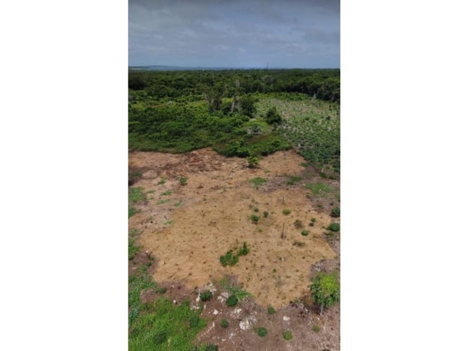 Lote en venta en Barú, Cartagena · foto 2 de 4