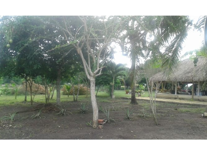 Lote en venta en Mamonal, Cartagena, 22000 m² · foto 2 de 6