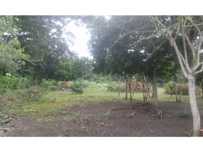 Lote en venta en Mamonal, Cartagena, 22000 m² · foto 3 de 6