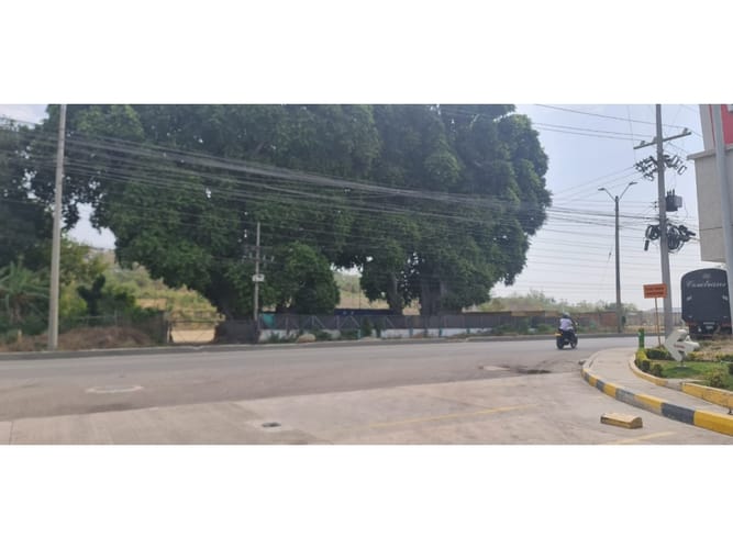 Lote en venta en Albornoz, Cartagena, 10100 m² · foto 5 de 10