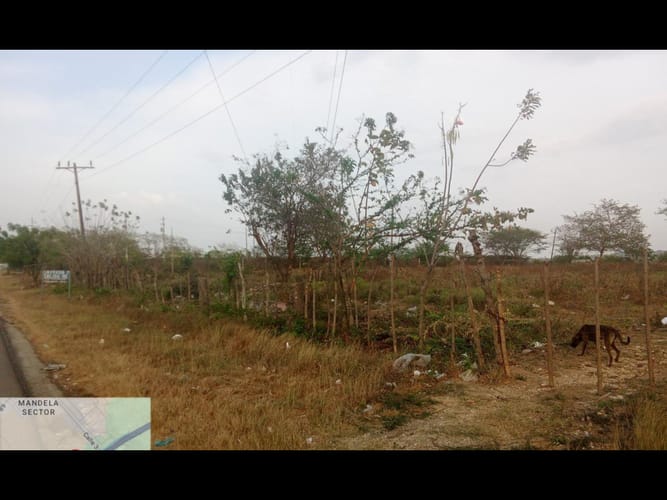 Lote en venta en Mamonal, Cartagena, 82121 m² · foto 3 de 4