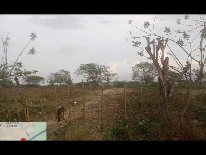 Lote en venta en Mamonal, Cartagena, 82121 m² · foto 4 de 4